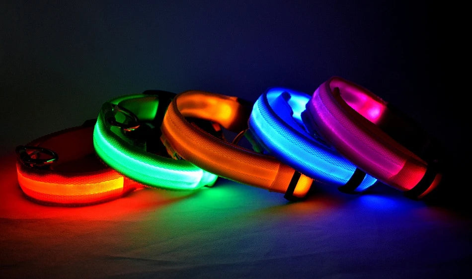 LED Night Safety Dog Collar