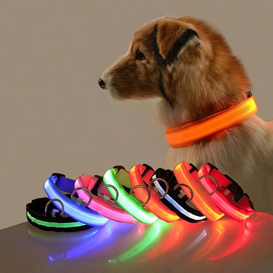LED Night Safety Dog Collar