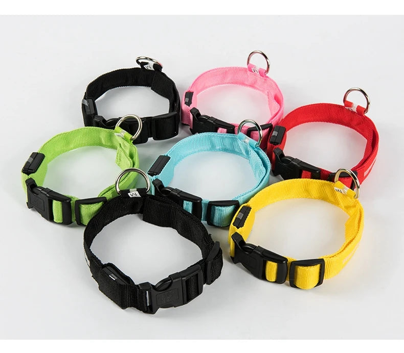 LED Night Safety Dog Collar