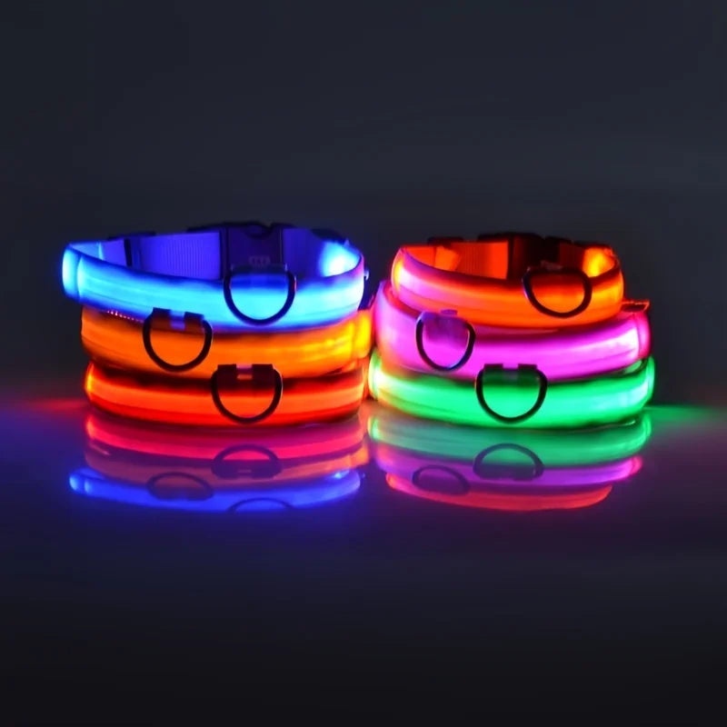 LED Night Safety Dog Collar